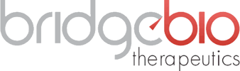 Bridgebio2
