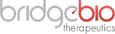 Bridgebio2