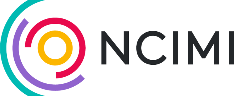 NCIMI Colour No Strapline
