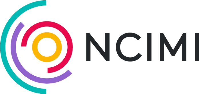 NCIMI Colour No Strapline